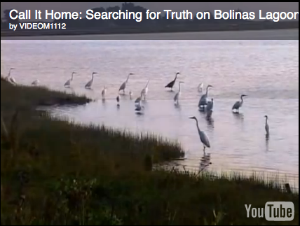 Call it Home: Searching for Truth on Bolinas Lagoon